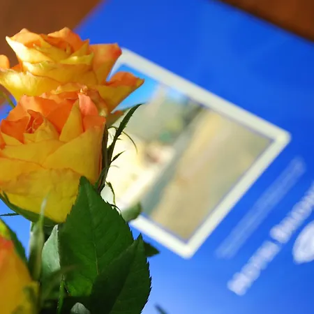 ホテル Brioni Boutique 4* オストラヴァ